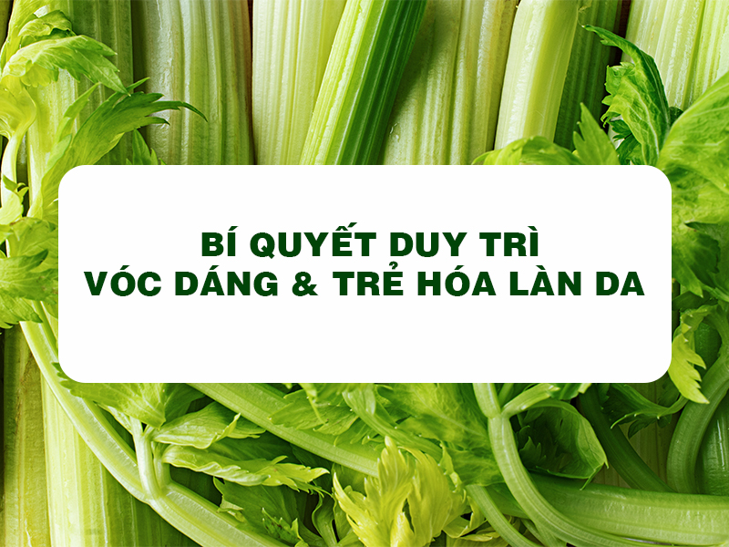 Bột Cần Tây Goce - Bí quyết duy trì vóc dáng, trẻ hóa làn da