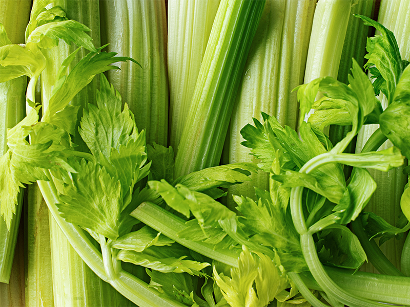 Goce Celery Powder - Supports effective weight loss