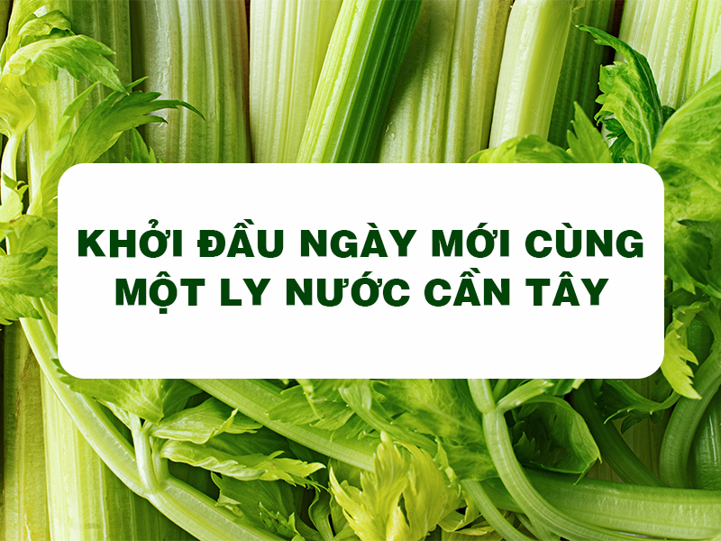 Bột Cần Tây Goce - Khởi đầu ngày mới cùng một ly nước cần tây giúp thanh lọc cơ thể