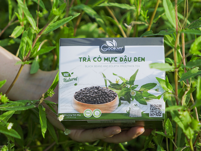 Goce Black Beans And Eclipta Prostrata Tea - Top 4 types of tea that are good for health