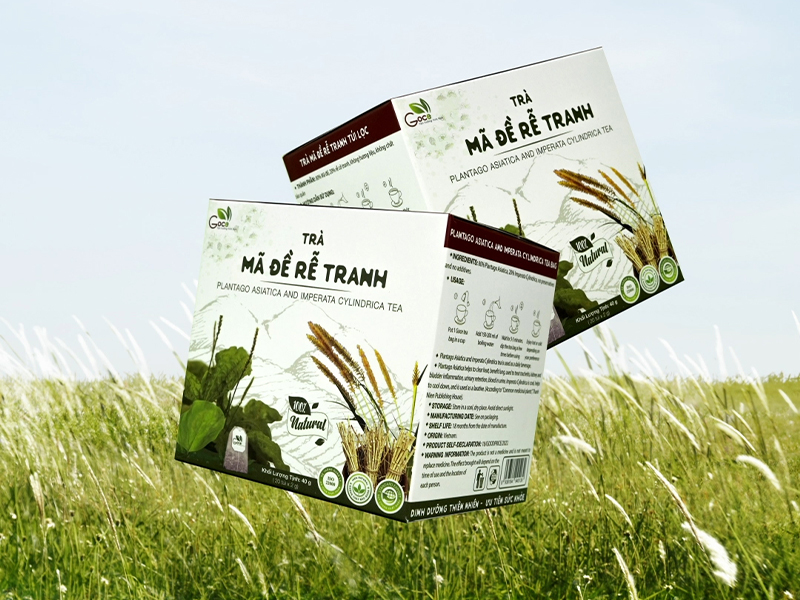 Goce Plantago Asiatica And Imperata Cylindrica Tea - The perfect combination