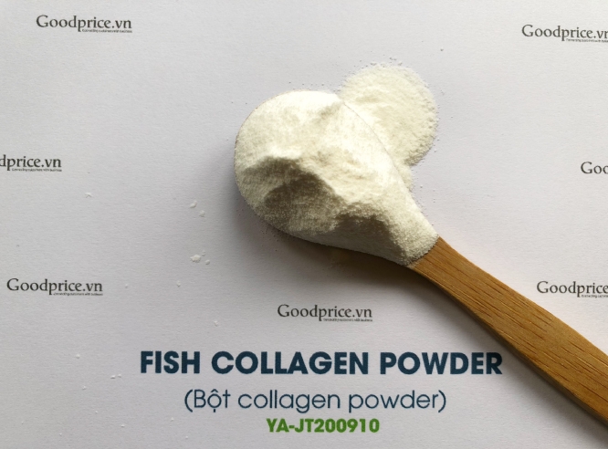 Bột Collagen Cá