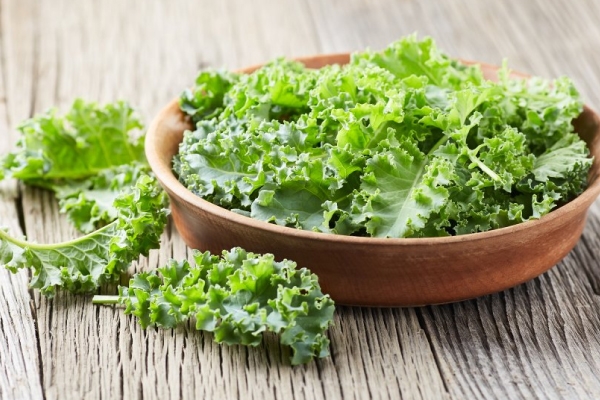 Vì sao công cải kale tốt cho sức khỏe? Tìm hiểu ngay