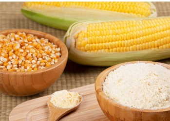 GOODPRICE CORN POWDER - THE OPTIMAL SOLUTION FOR FOOD BUSINESSES