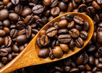 Cà phê Arabica là gì?