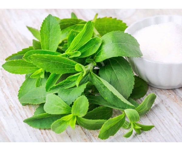 Đường stevia - đường cỏ ngọt stevia có tốt không?