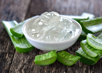 Instructions for making aloe vera jelly at home