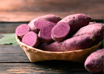 Where to buy quality purple sweet potato powder?